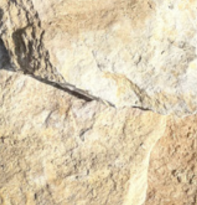 Four à bois pour restaurants