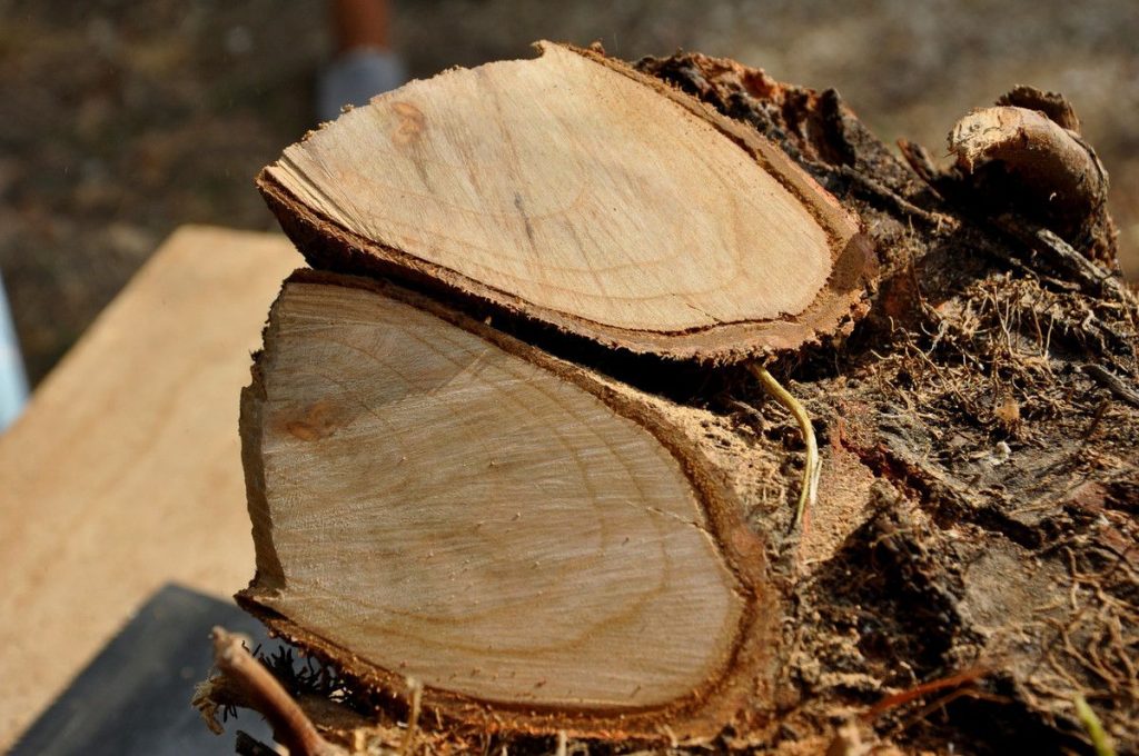 Quel bois est le meilleur pour un four à bois ?