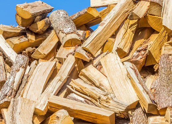 Quel bois est le meilleur pour un four à bois ?